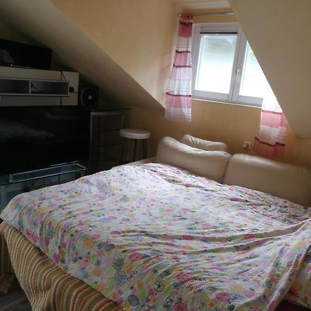 Wohlfuehloase - Zimmer, Appartment - Im Herzen Starnbergs Camera foto