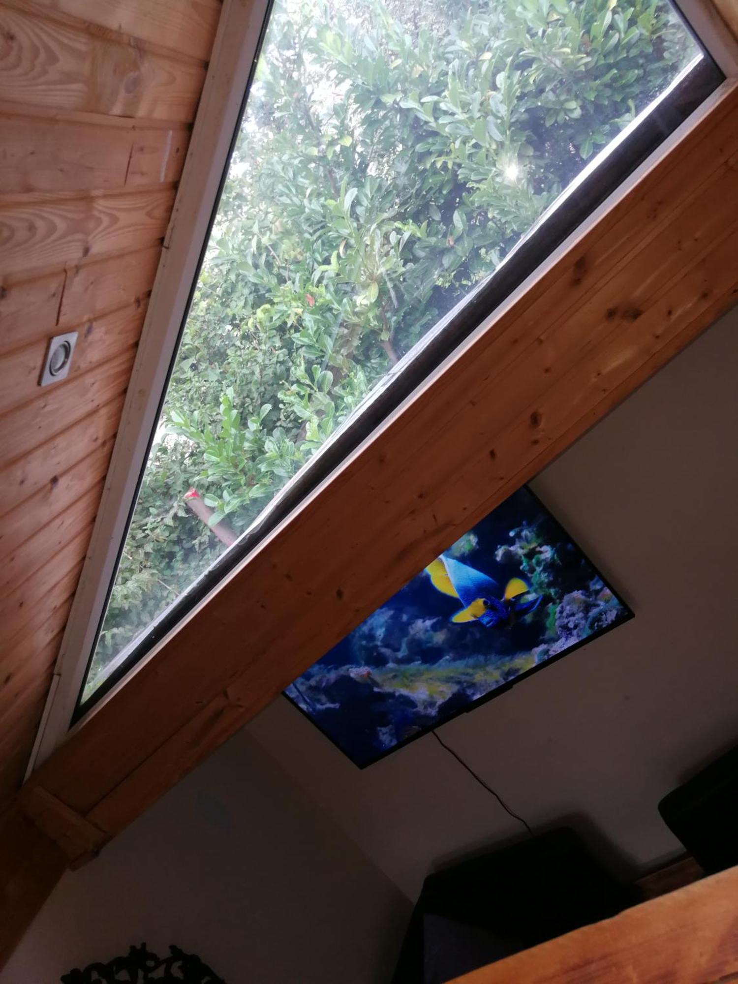 Wohlfuehloase - Zimmer, Appartment - Im Herzen Starnbergs Camera foto